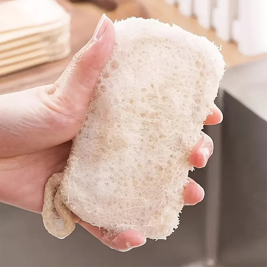 Luffa naturelle